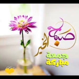 Meet your Posher, Shahnaz